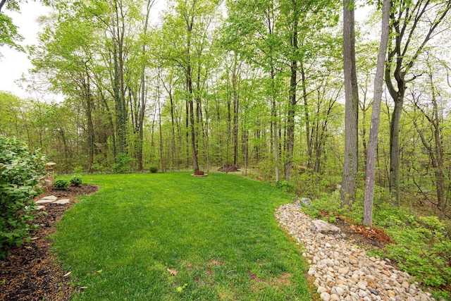 view of green lawn