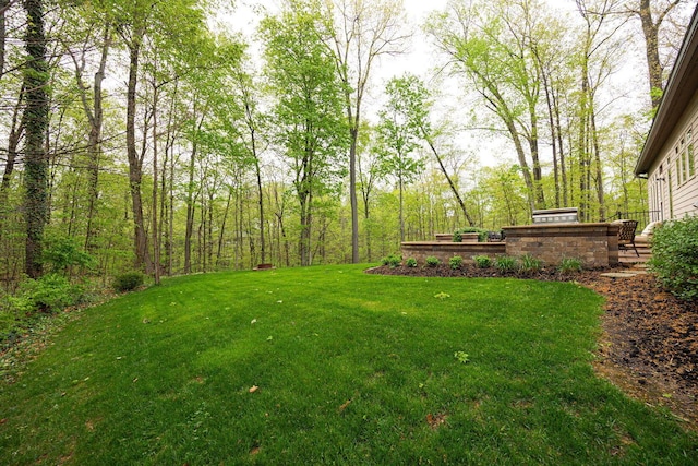 view of green lawn