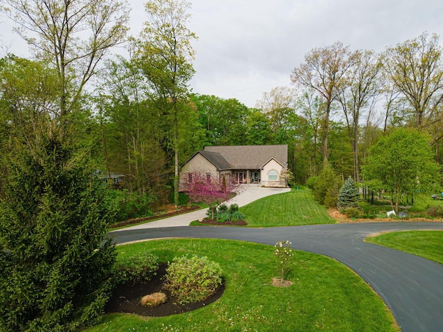 view of front of home with curved driveway, a front yard, and stone siding