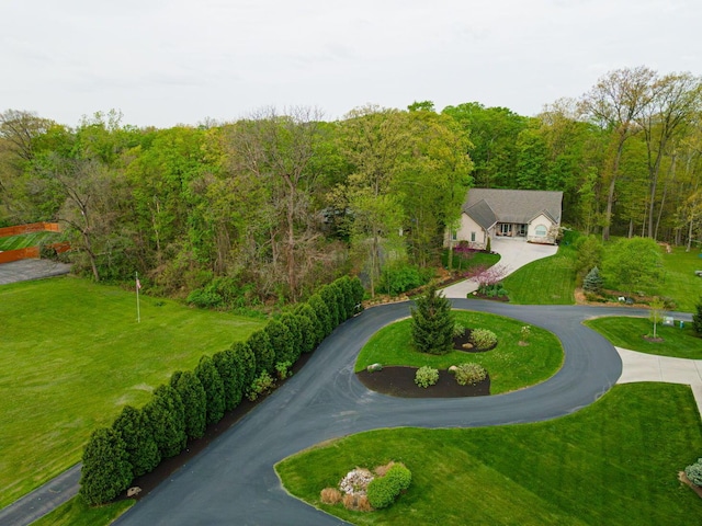 view of home's community featuring curved driveway, a wooded view, a lawn, and a garage