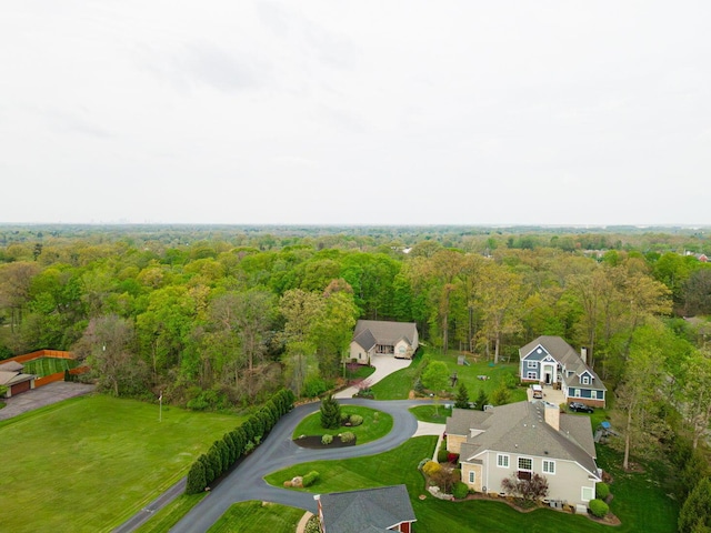 drone / aerial view of a forest