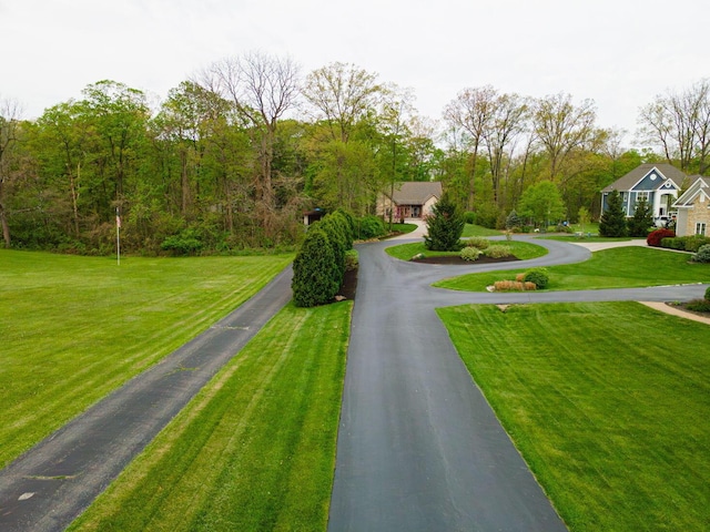 view of asphalt street