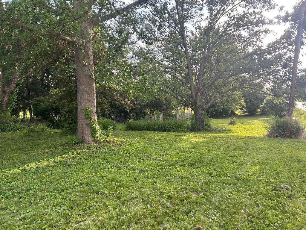 5 Baltimore Somerset Rd NE, Baltimore, OH 43105 - view of green lawn