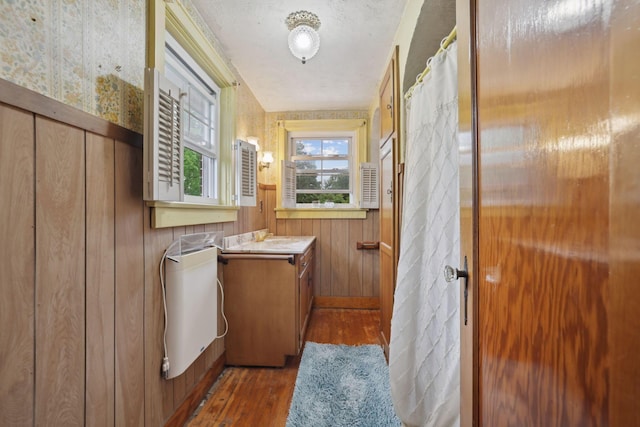 5 Baltimore Somerset Rd NE, Baltimore, OH 43105 - bathroom featuring wood finished floors, vanity, and wooden walls