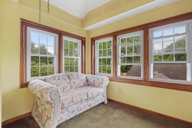 5 Baltimore Somerset Rd NE, Baltimore, OH 43105 - sunroom / solarium featuring lofted ceiling