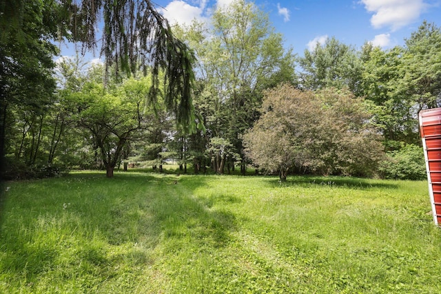 5 Baltimore Somerset Rd NE, Baltimore, OH 43105 - view of yard