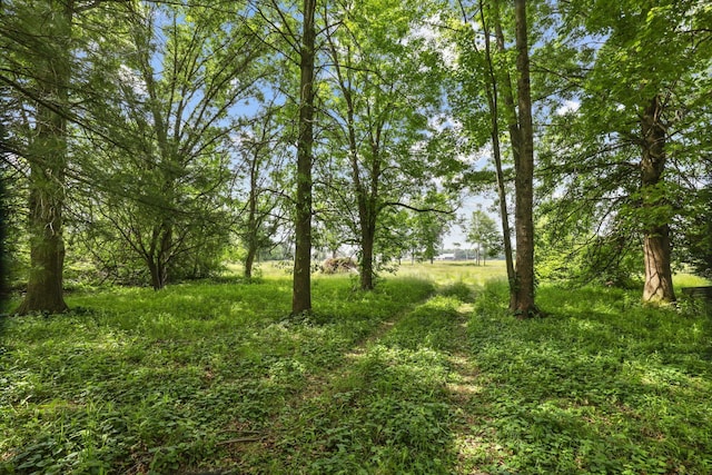 5 Baltimore Somerset Rd NE, Baltimore, OH 43105 - view of yard