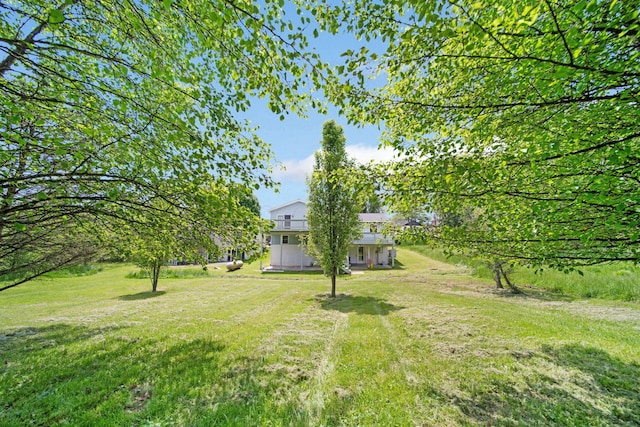 134 Hasbrouck Cir, Howard, OH 43028 - view of green lawn