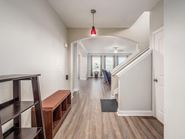 9035 Strawser St, Orient, OH 43146 - hallway with wood finished floors, arched walkways, stairway, and baseboards
