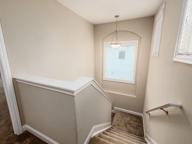 9035 Strawser St, Orient, OH 43146 - stairway featuring carpet and baseboards