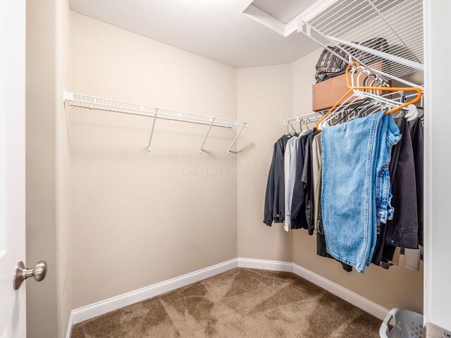 9035 Strawser St, Orient, OH 43146 - spacious closet featuring carpet flooring