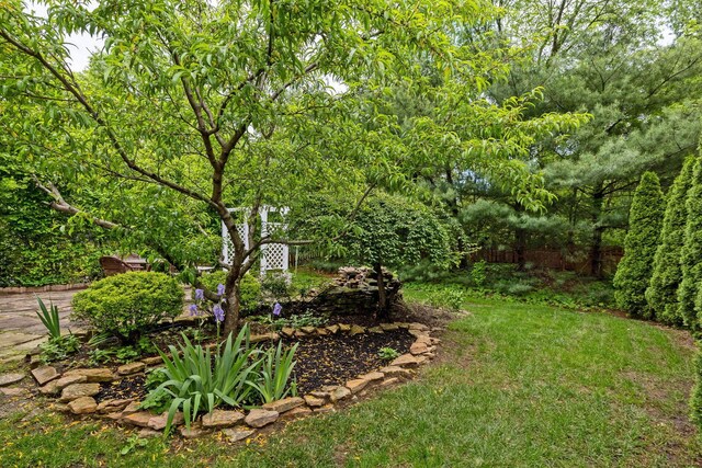 5556 Falco Dr, Westerville, OH 43081 - view of yard