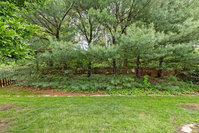5556 Falco Dr, Westerville, OH 43081 - view of yard