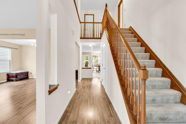 5556 Falco Dr, Westerville, OH 43081 - stairs with wood finished floors, a towering ceiling, and baseboards