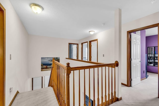 5556 Falco Dr, Westerville, OH 43081 - hall with an upstairs landing, carpet floors, and baseboards
