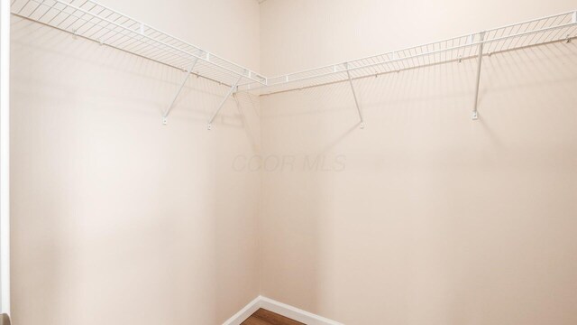 776 Brevard Cir, Pickerington, OH 43147 - spacious closet with wood finished floors