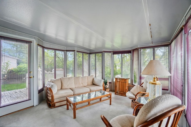 sunroom featuring carpet