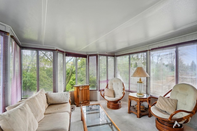 sunroom featuring carpet