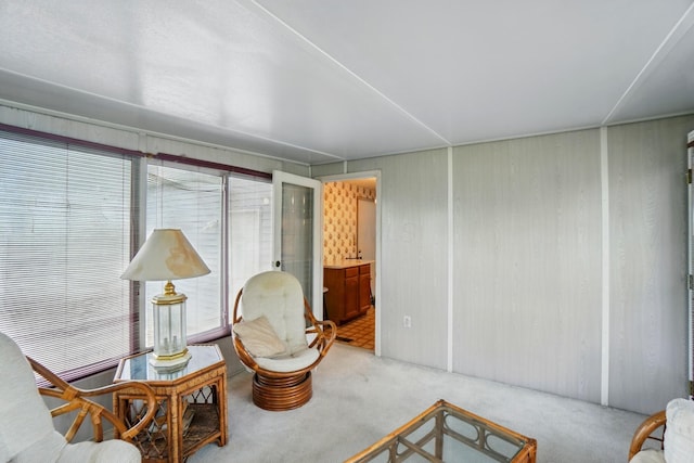living area with carpet