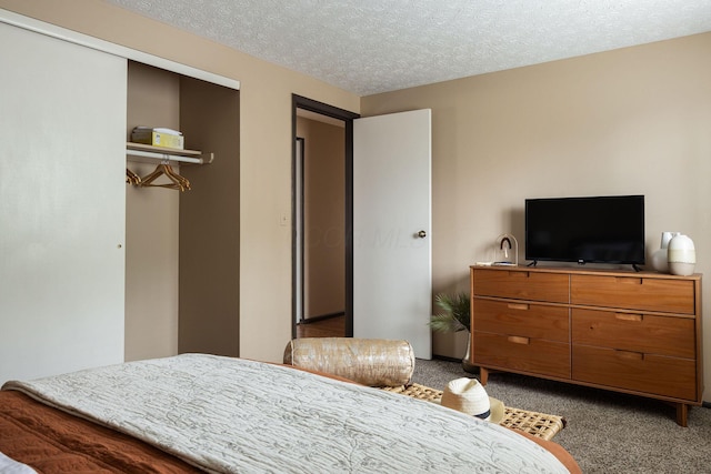 bedroom with carpet floors, a textured ceiling, and a closet