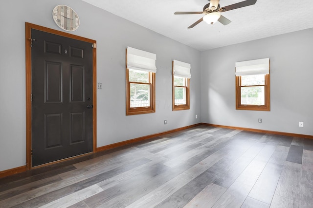 113 Bridgeport Way, Delaware, OH 43015 - entrance foyer featuring wood finished floors and ceiling fan
