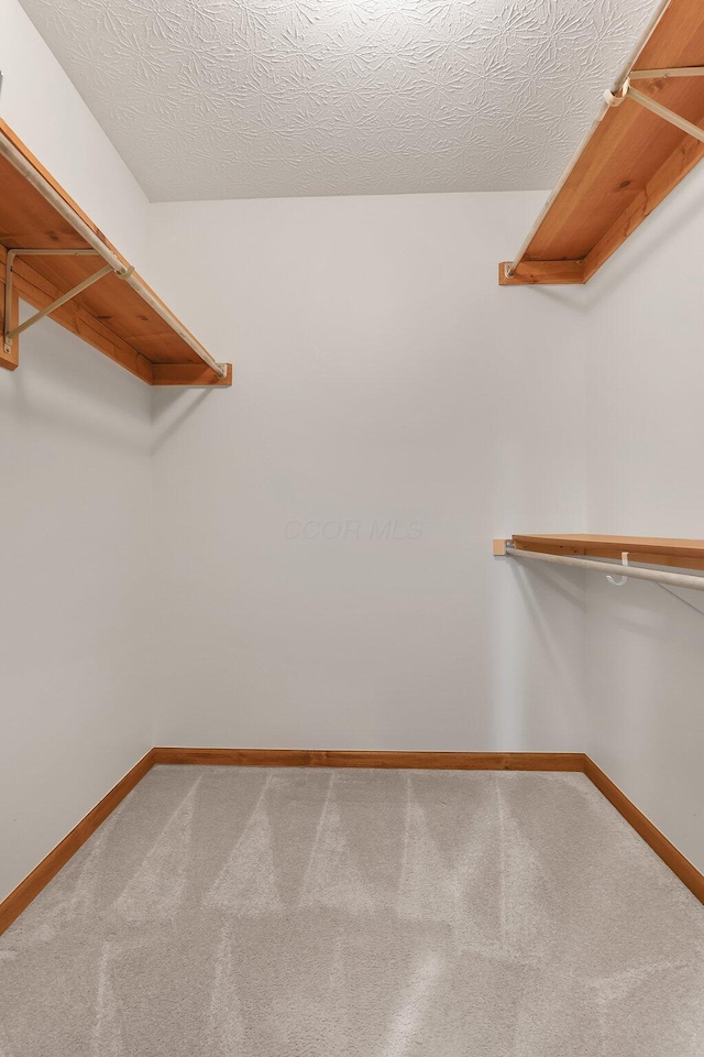 113 Bridgeport Way, Delaware, OH 43015 - spacious closet featuring carpet floors
