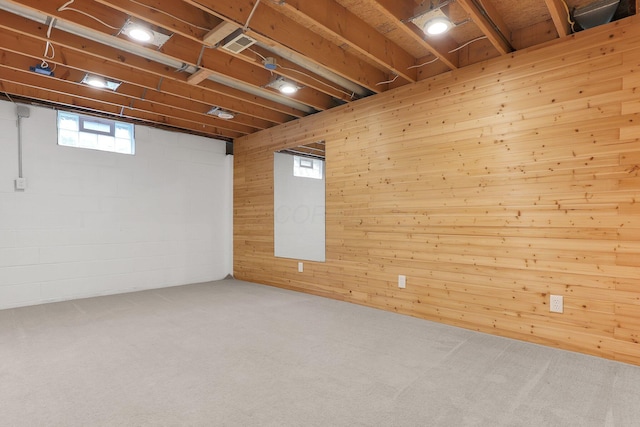 113 Bridgeport Way, Delaware, OH 43015 - below grade area featuring wood walls and carpet floors