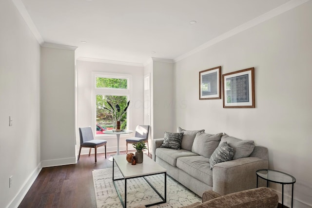 436 W 2nd Ave, Columbus, OH 43201 - living area featuring ornamental molding, wood finished floors, and baseboards