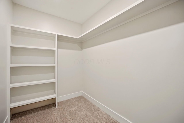 436 W 2nd Ave, Columbus, OH 43201 - spacious closet with carpet