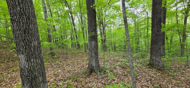 0 Edmondson Rd (Ridge View Cabin Big Timber), Unit Ridge View Cabin Big Timber Vinton, OH 45686