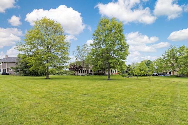 5098 Cascade Dr, Powell, OH 43065 - view of grassy yard