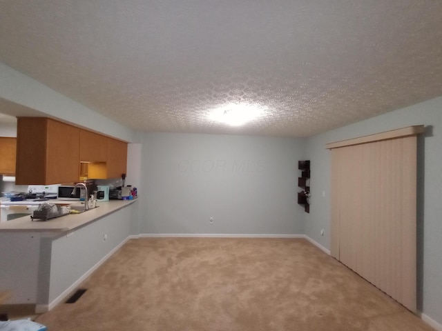 5888 Abernathy Ln Unit 5888A, Columbus, OH 43232 - kitchen featuring light carpet, light countertops, a textured ceiling, a sink, and a peninsula