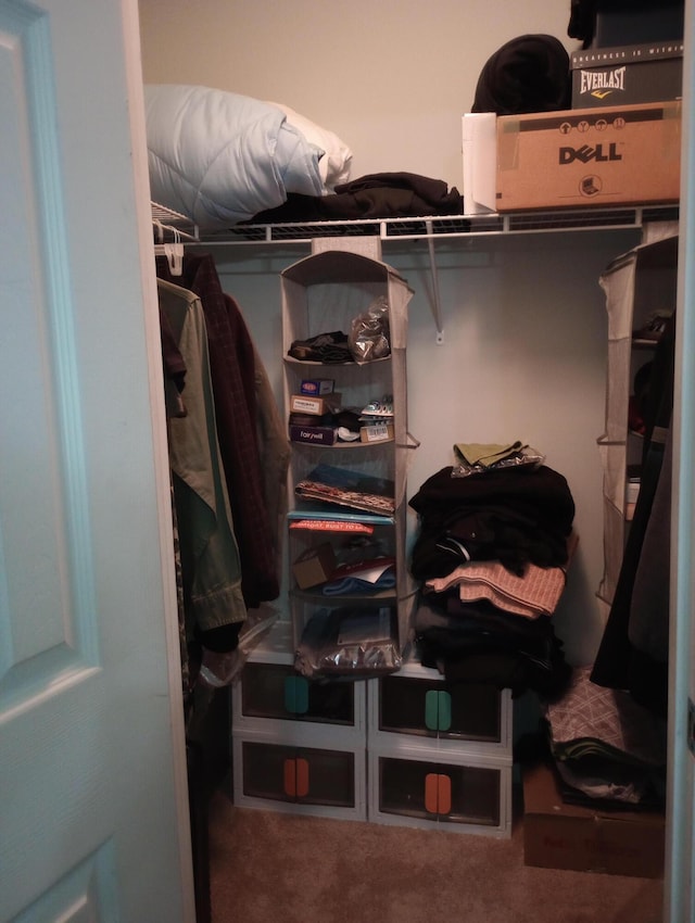 5888 Abernathy Ln Unit 5888A, Columbus, OH 43232 - spacious closet with carpet flooring