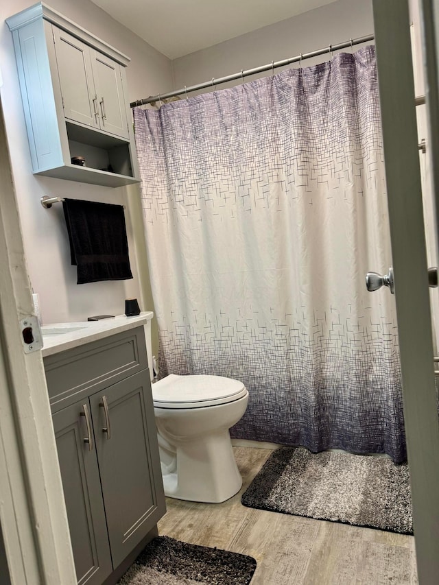 965 Bikini Dr, Marion, OH 43302 - bathroom featuring wood finished floors, toilet, and vanity