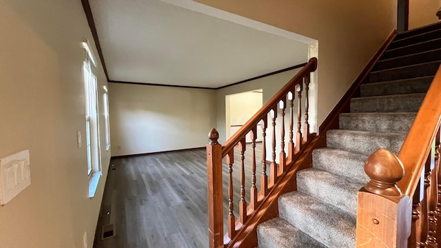 7586 Jenkins Dr, Canal Winchester, OH 43110 - stairs with ornamental molding, wood finished floors, and baseboards