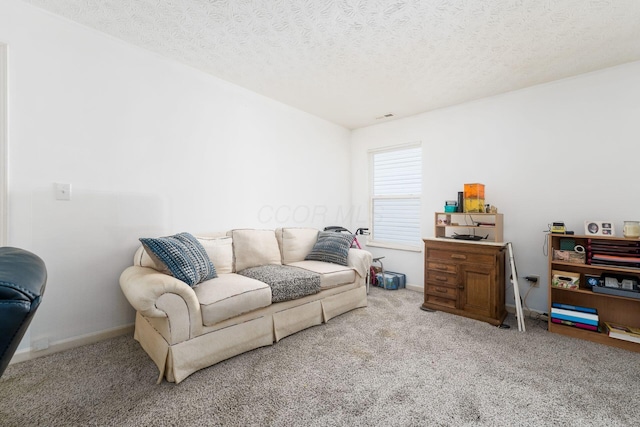 living room with carpet floors and a textured ceiling