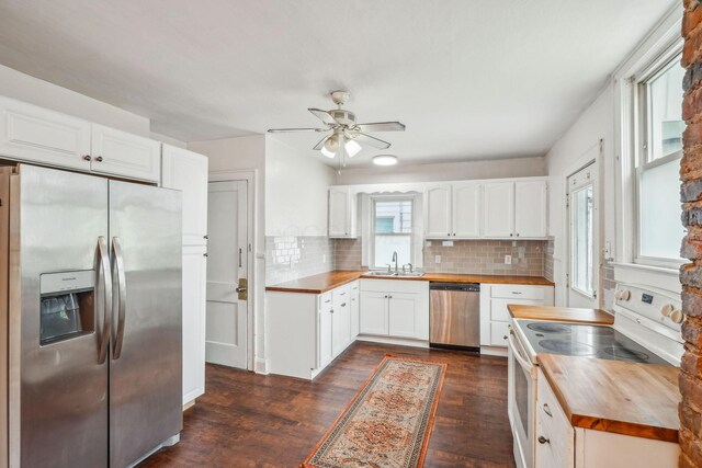 1066 Kelton Ave, Columbus, OH 43206 - kitchen with wood counters, appliances with stainless steel finishes, a sink, dark wood-type flooring, and a ceiling fan