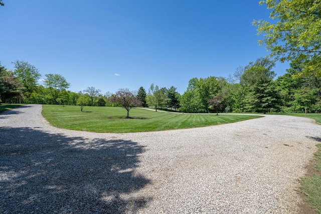7684 Stout Rd, Circleville, OH 43113 - view of home's community featuring a yard and driveway