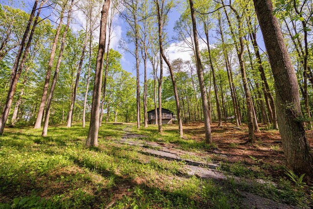 34047 W Buckingham Rd, Logan, OH 43138 - view of yard