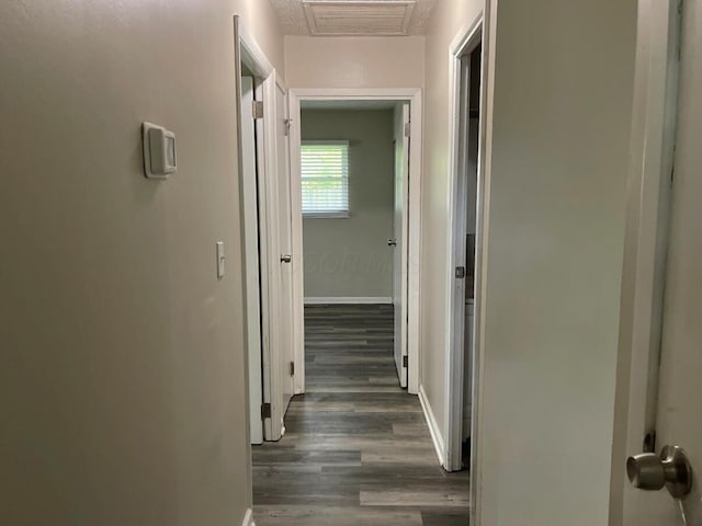 hallway featuring baseboards and wood finished floors