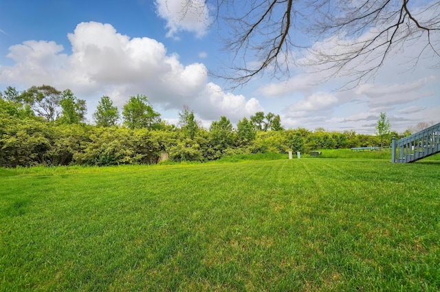 4410 Holstein Dr, Columbus, OH 43207 - view of green lawn