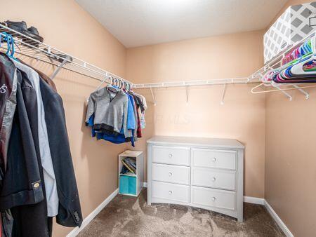 592 Summer Tree Loop, Marysville, OH 43040 - spacious closet featuring carpet