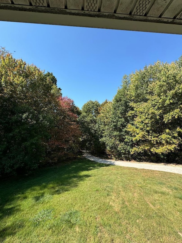 10095 Licking Valley Rd, Frazeysburg, OH 43822 - photo 45