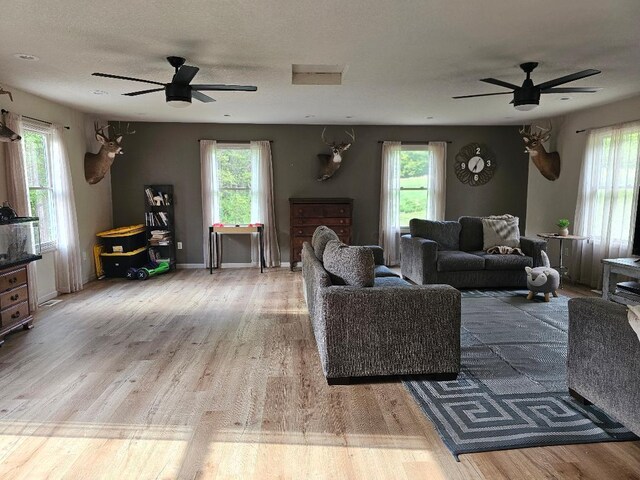 10095 Licking Valley Rd, Frazeysburg, OH 43822 - photo 18