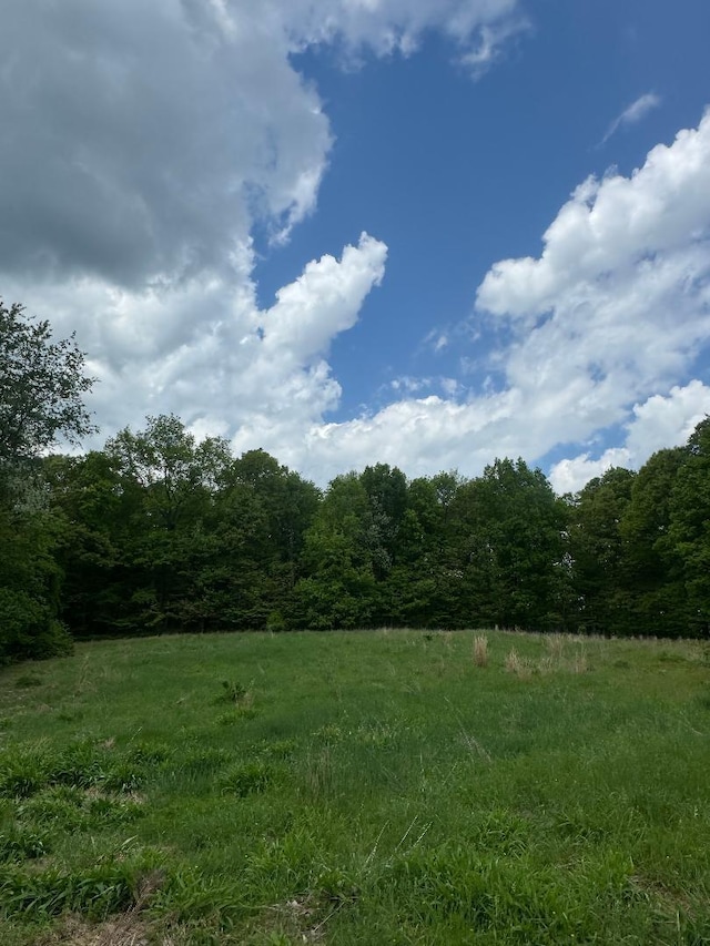 10095 Licking Valley Rd, Frazeysburg, OH 43822 - photo 47
