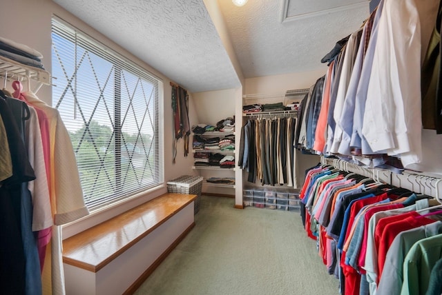 5524 Rushden Dr, Columbus, OH 43230 - spacious closet featuring carpet floors