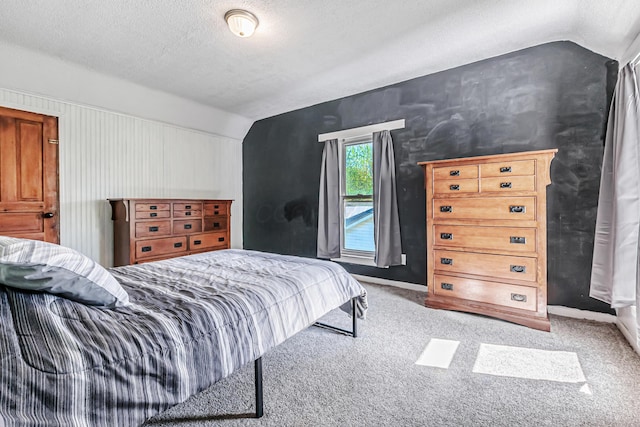76 Resch St, Kenton, OH 43326 - carpeted bedroom featuring lofted ceiling, baseboards, and a textured ceiling
