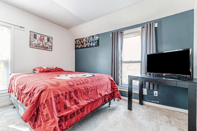 76 Resch St, Kenton, OH 43326 - bedroom featuring carpet, multiple windows, baseboards, a textured ceiling, and vaulted ceiling