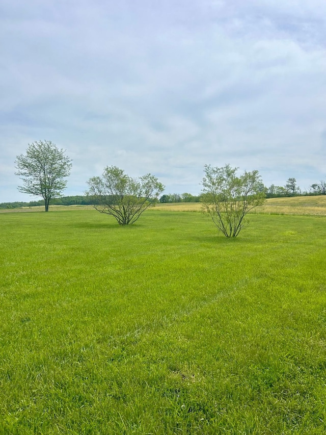 3617 Waugh Rd, Frankfort, OH 45628 - view of green lawn featuring a rural view
