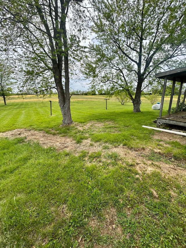 3617 Waugh Rd, Frankfort, OH 45628 - view of green lawn